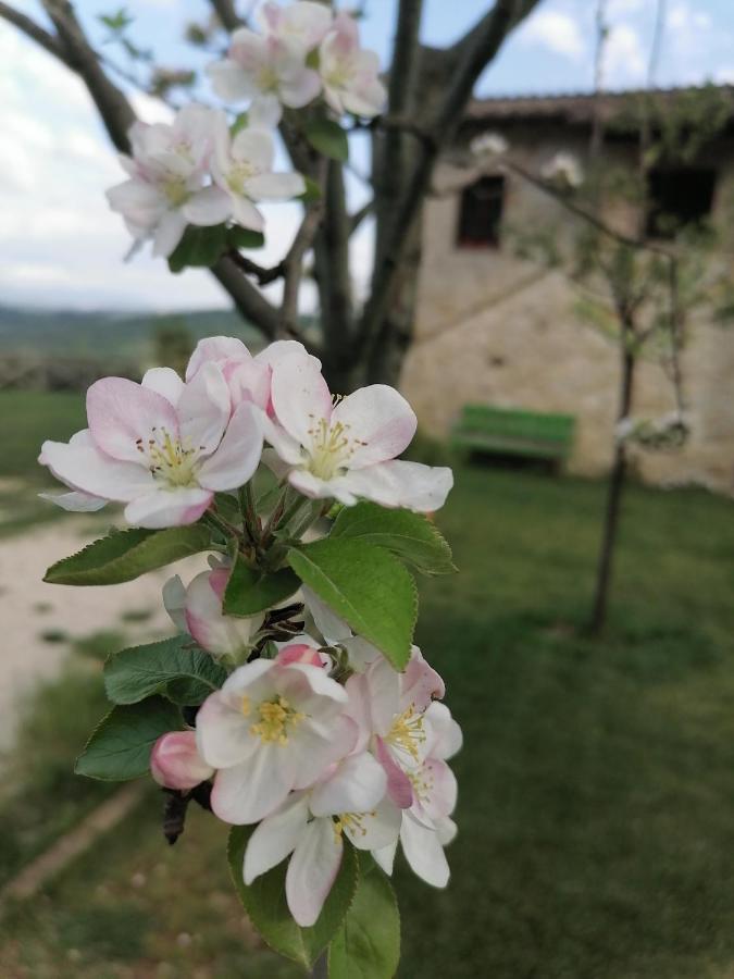 Frühstückspension Coldifiore