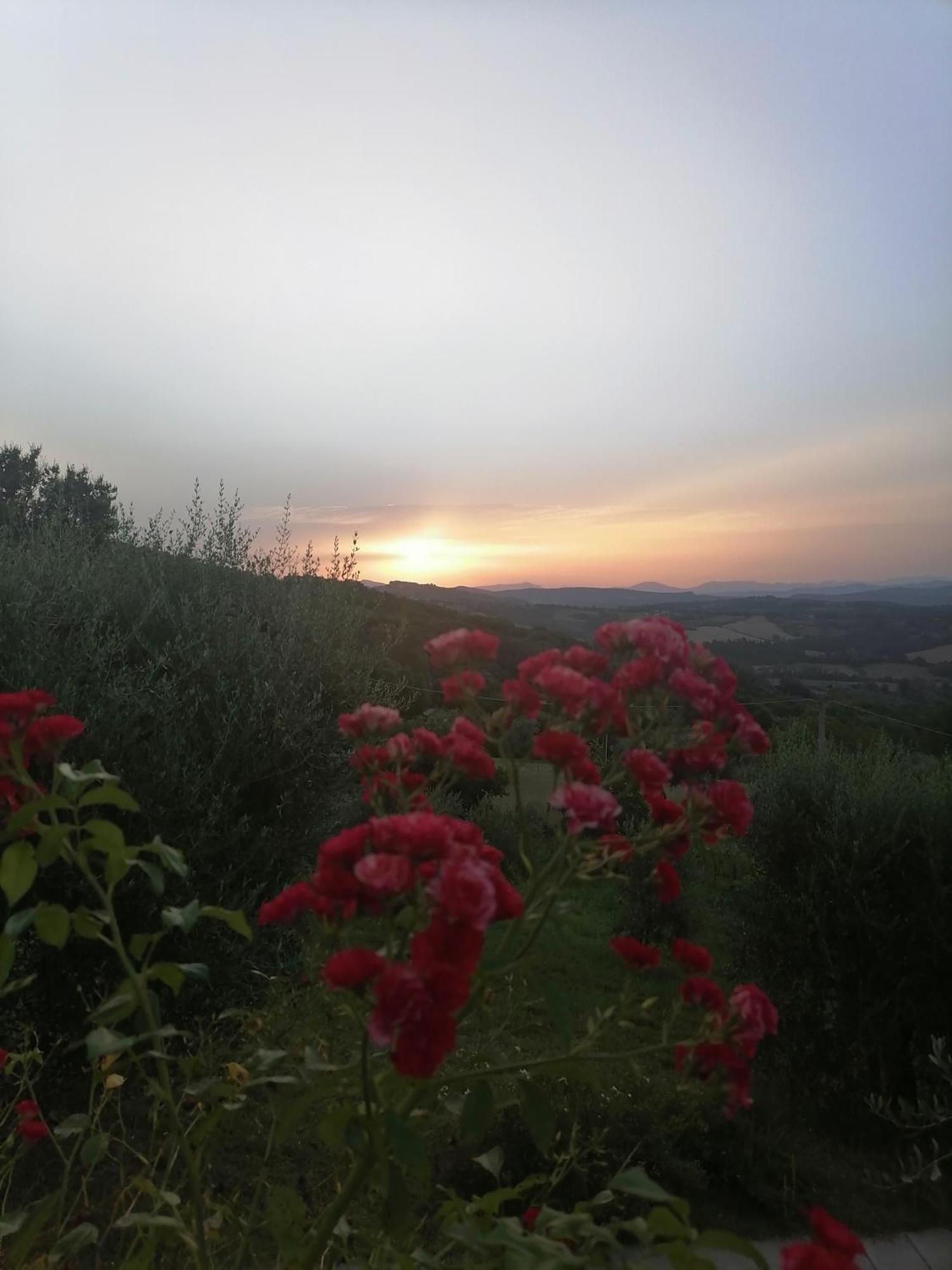 Coldifiore Penna in Teverina